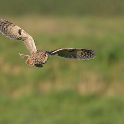 2026-02-24-935vendeeZ9