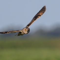 2026-02-24-969vendeeZ9