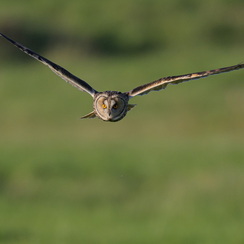 2026-02-24-1032vendeeZ9