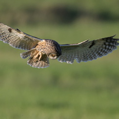 2026-02-24-1042vendeeZ9