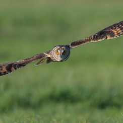 2026-02-24-1057vendeeZ9