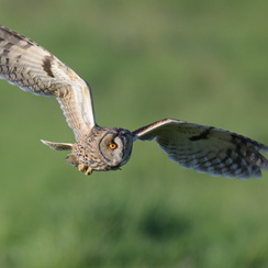 2026-02-24-1074vendeeZ9