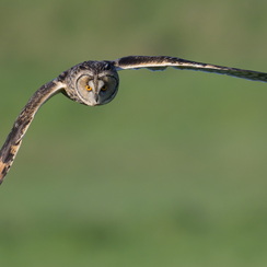 2026-02-24-1111vendeeZ9