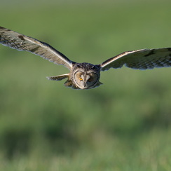 2026-02-24-1135vendeeZ9