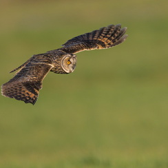 2026-02-24-1515vendeeZ9